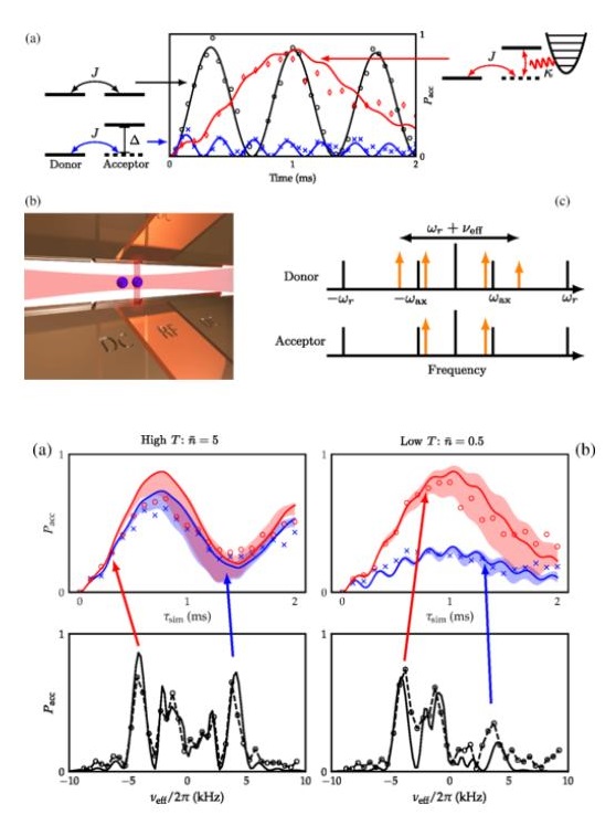 Figures related to vibrationally-assisted energy transfer experiment