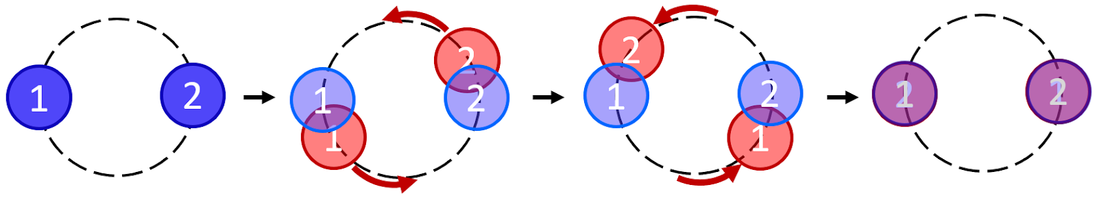 Diagram of the quantum rotor exchange procedure