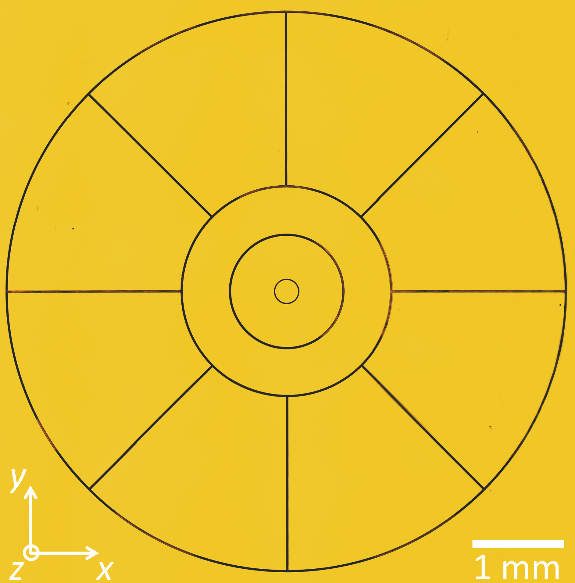 Ring trap electrode layout